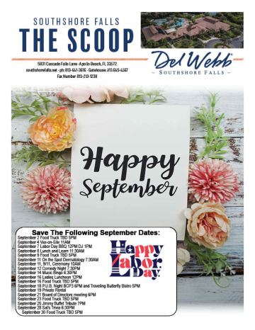 Southshore Falls newsletter cover